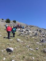 Monte cucuzzo  Aprile 2018 (65)